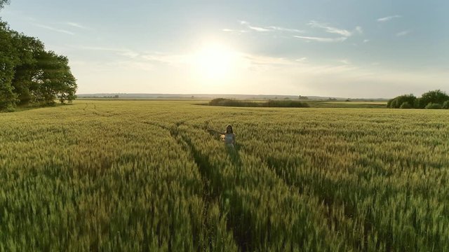 Beautiful girl walking in a wheat field at sunset, aerial view 4k