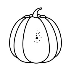 fresh pumpkin autumn icon