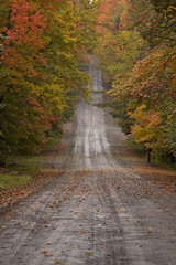 Country road winds through fall color trees in New England