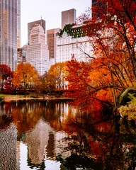 Foto op Aluminium Autumn Central Park © JJason