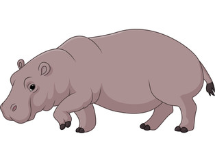 Cartoon funny hippo isolated on white background