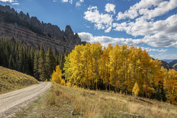 Rocky Mountain road in the fall in Colorado with Aspen Trees 