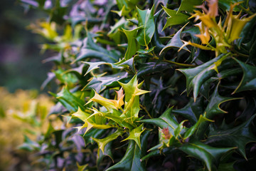 Captured in Hangzhou Xixi Wetland scenery