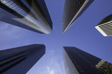 skyscrapers in the city