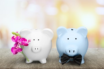 White and blue piggy banks on table