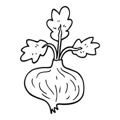 line drawing cartoon old onion