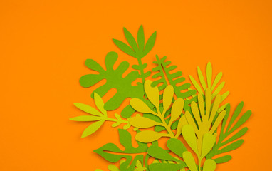 Fototapeta na wymiar Green leaves made from paper on orange background