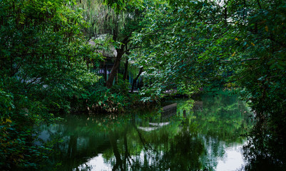 Captured in Hangzhou Xixi Wetland scenery
