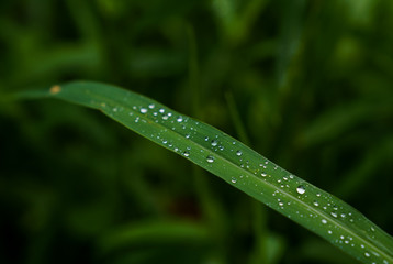 Captured in Hangzhou Xixi Wetland scenery