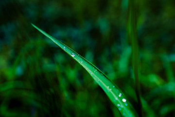 Captured in Hangzhou Xixi Wetland scenery