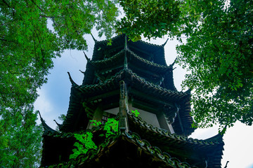 Obraz premium Captured in Hangzhou Xixi Wetland scenery