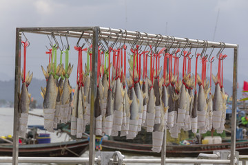 Salted fish