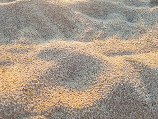 Beach sand texture during sunrise.
