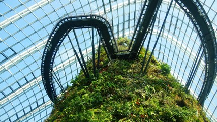 cloud forest bridge in gardens by the bay
