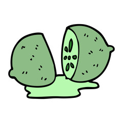 cartoon doodle citrus fruit