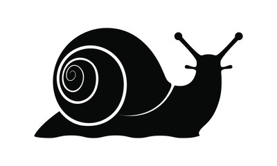 Snail graphic icon. Snail symbol. Snail black silhouette isolated on white background. Logo. Vector illustration © archivector