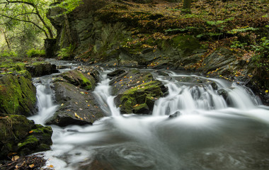 Fototapeta na wymiar Selkewasserfall, Harz