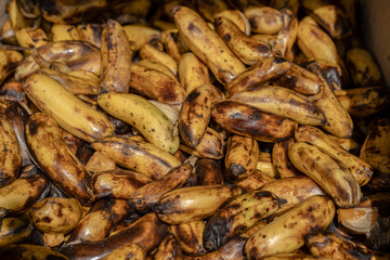 Rotten old bananas in box