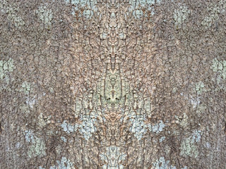 Fototapeta premium Bark of tree