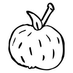 line drawing cartoon organic orange