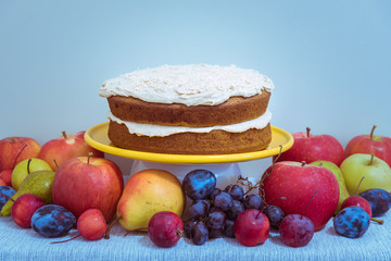 Vegan pumpkin spice layer cake on table with organic fruit