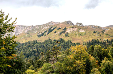 Amazing mountains and forest. Landscape. Wild nature.