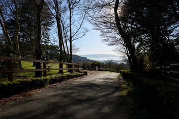 A tree covered driveway in a hillside property in the Dandenong hills just outside of Melbourne with a view to the hills beyond. A beautiful spring day with the sun peaking through the canopy.