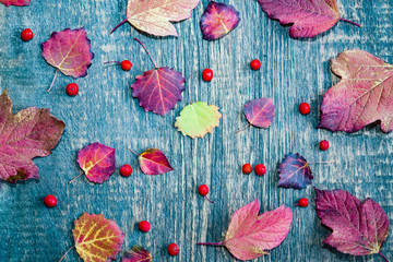 Autumn multi-colored old leaves on wooden background, grunge, vintage style,
