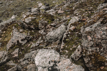 Norwegian Fjellet Mountains and Tundra