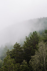 Fototapeta na wymiar Misty Norwegian Mountains