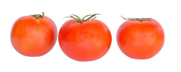 Tomatoes isolated on white