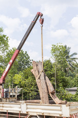 Loading of logs on transport