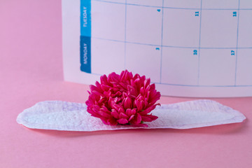 Tampons and pads for menstruation, women's calendar and flowers on a pink background. Hygiene care during critical days. Regular menstrual cycle