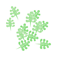 flat color illustration of a cartoon leaves