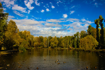 Beautiful autumn multicolored landscape in sunny weather, clear blue sky and a beautiful pond.