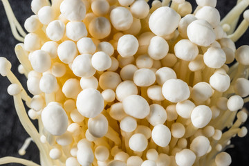 美味しいきのこの盛り合わせ delicious mushroom platter