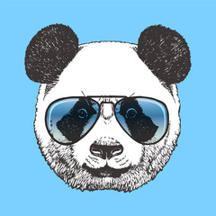 Portrait of Panda with sunglasses, hand-drawn illustration, vector isolated elements
