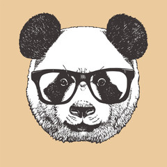Portrait of Panda with glasses, hand-drawn illustration, vector