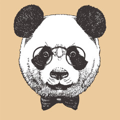 Portrait of Panda with glasses and bow tie, hand-drawn illustration, vector