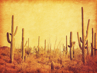 Landscape of the desert with Saguaro cacti. Photo in retro style. Added paper texture. Toned image