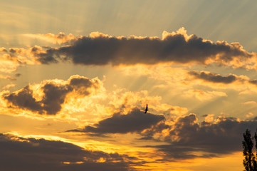 Landscape with dramatic light - beautiful golden sunset with saturated sky and clouds.