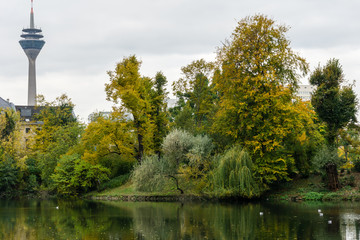 autumn in the park