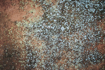 Arrière plan mur usé moucheté