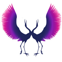Violet-pink silhouette of an elegant bird. Cranes dance. Multicolored herons. blue purple stork. isolated