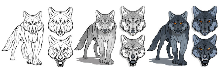 Obraz premium wilk, izolowany na białym tle, kolorowa ilustracja, nadający się jako logo lub maskotka drużyny, niebezpieczny leśny drapieżnik, głowa wilka, dzikie zwierzę, wilk szary w pełnym wzroście, grafika wektorowa do zaprojektowania