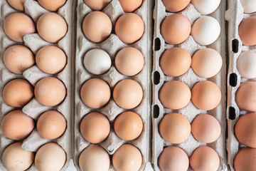 Full frame high angle view of farm fresh organic free range eggs in cartons