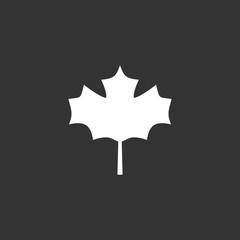 Maple leaf vector icon
