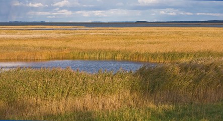 warten auf tausende Kraniche, die hier ihren Schlafplatz finden