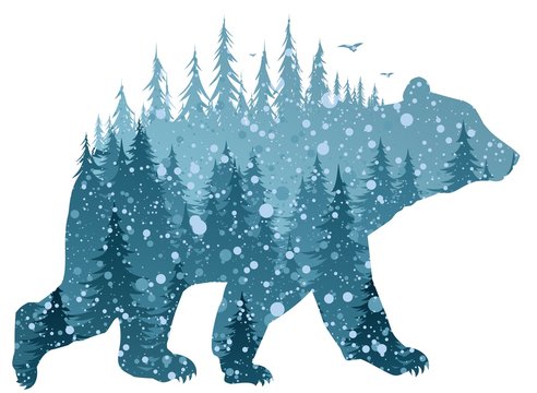 Silhouette of a wild bear with winter forest and bird.