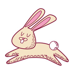 rabbit cute cartoon